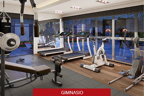 Gimnasio